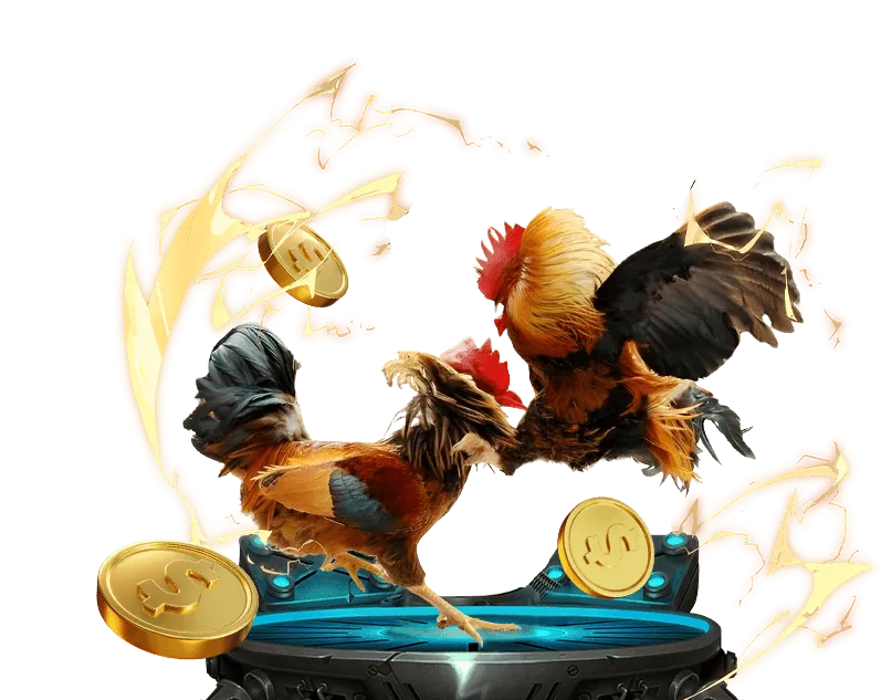 Hoàn trả tiền cược hàng tuần